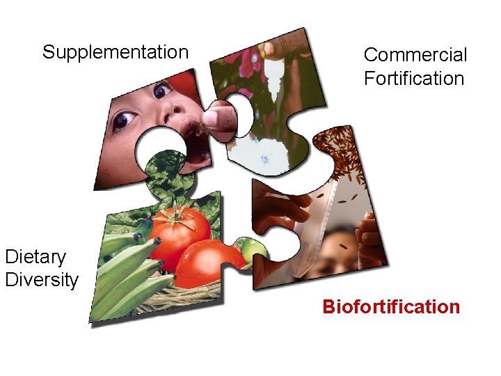 Supplementation Commercial Fortification Dietary Diversity Biofortification 