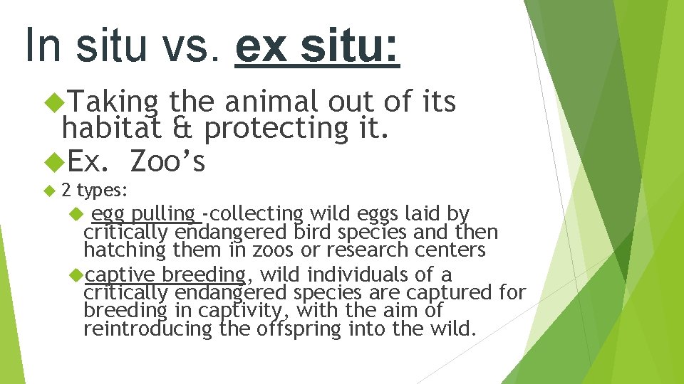 In situ vs. ex situ: Taking the animal out of its habitat & protecting