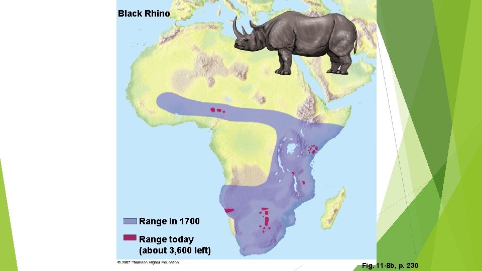 Black Rhino Range in 1700 Range today (about 3, 600 left) Fig. 11 -8
