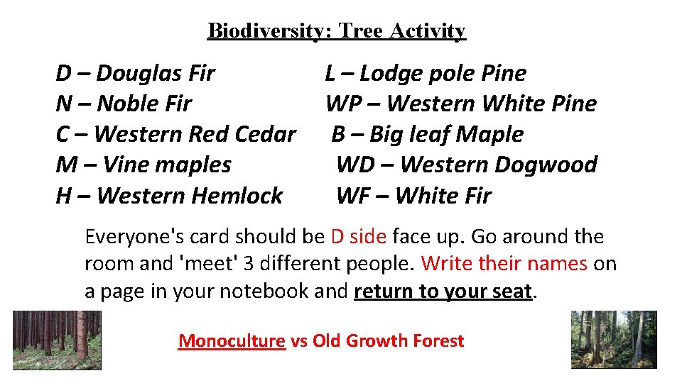 Biodiversity: Tree Activity D – Douglas Fir N – Noble Fir C – Western