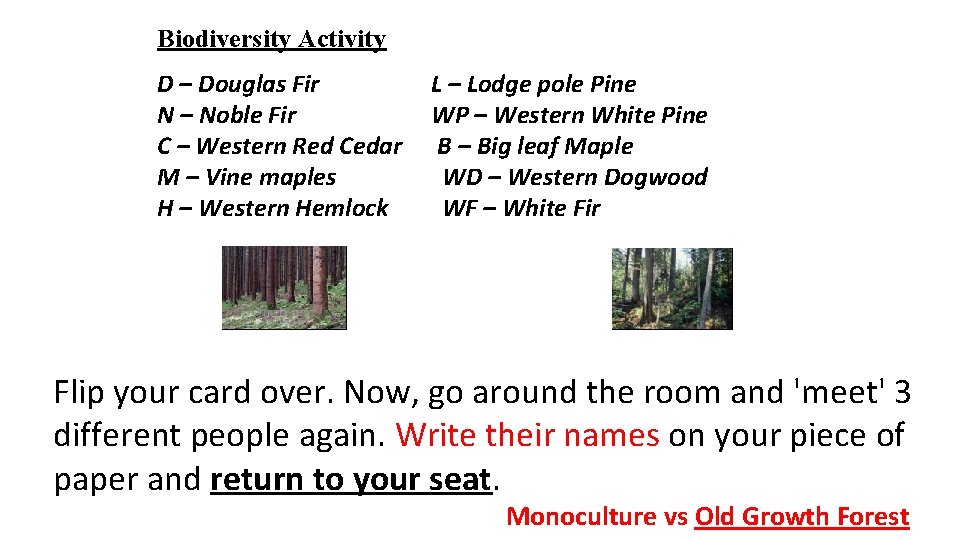 Biodiversity Activity D – Douglas Fir N – Noble Fir C – Western Red
