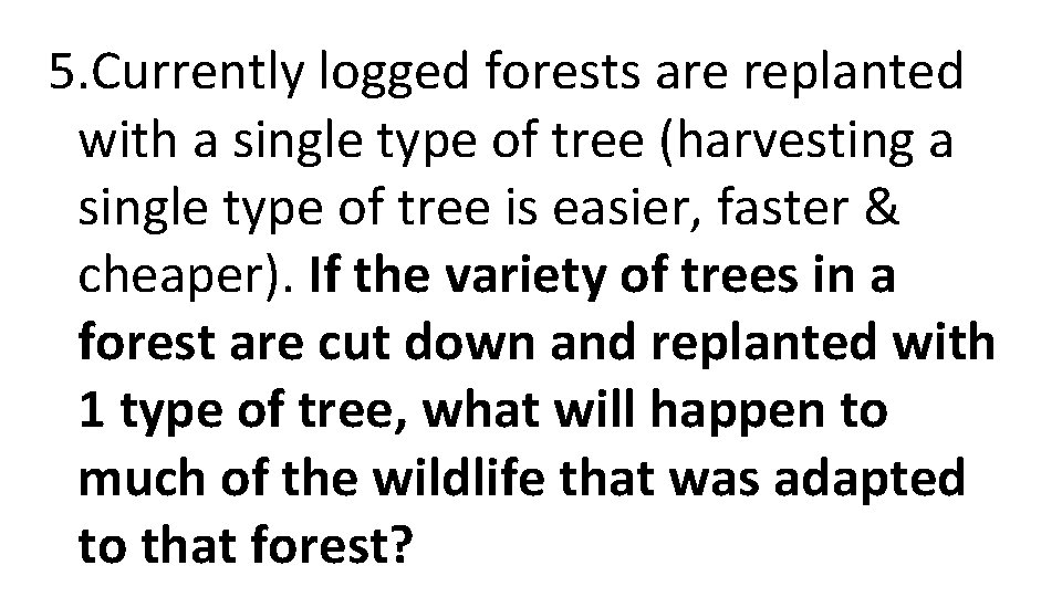 5. Currently logged forests are replanted with a single type of tree (harvesting a