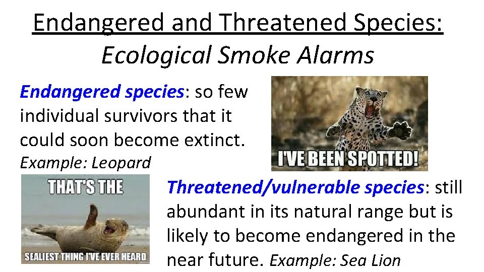 Endangered and Threatened Species: Ecological Smoke Alarms Endangered species: so few individual survivors that