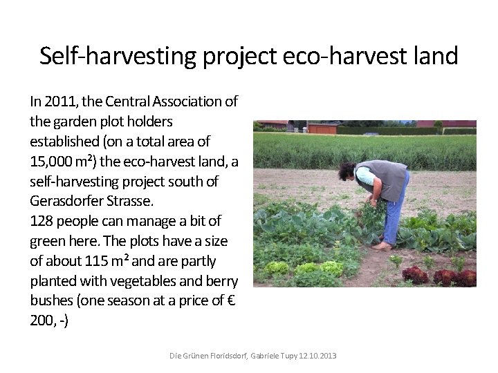 Self-harvesting project eco-harvest land In 2011, the Central Association of the garden plot holders