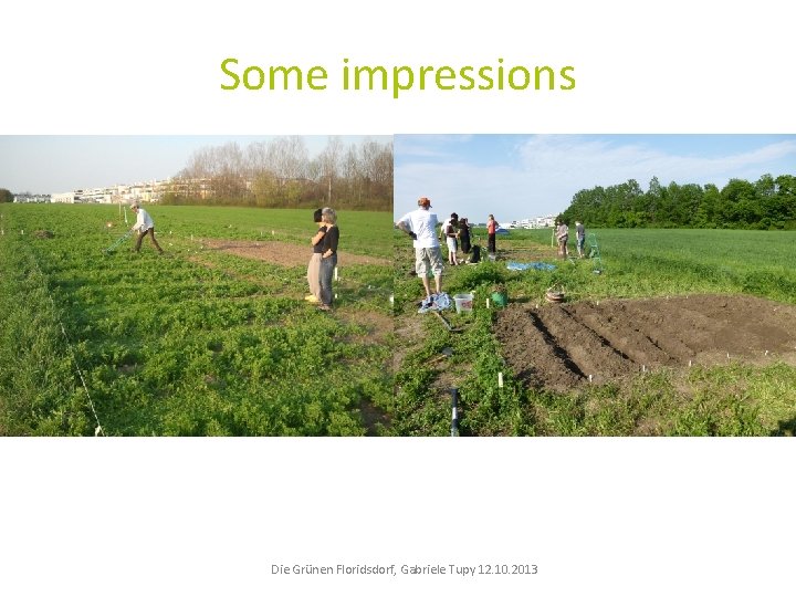 Some impressions Die Grünen Floridsdorf, Gabriele Tupy 12. 10. 2013 