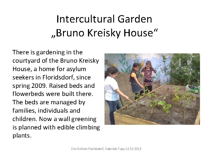 Intercultural Garden „Bruno Kreisky House“ There is gardening in the courtyard of the Bruno