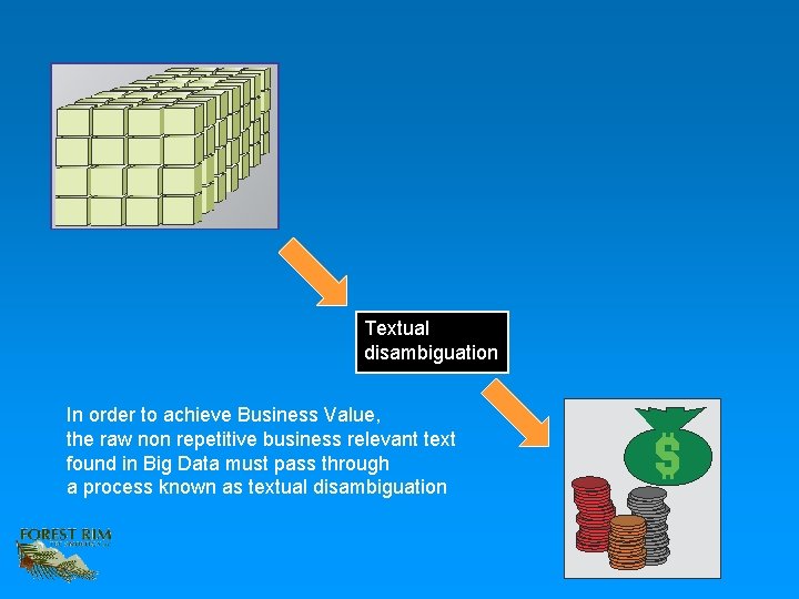 Textual disambiguation In order to achieve Business Value, the raw non repetitive business relevant