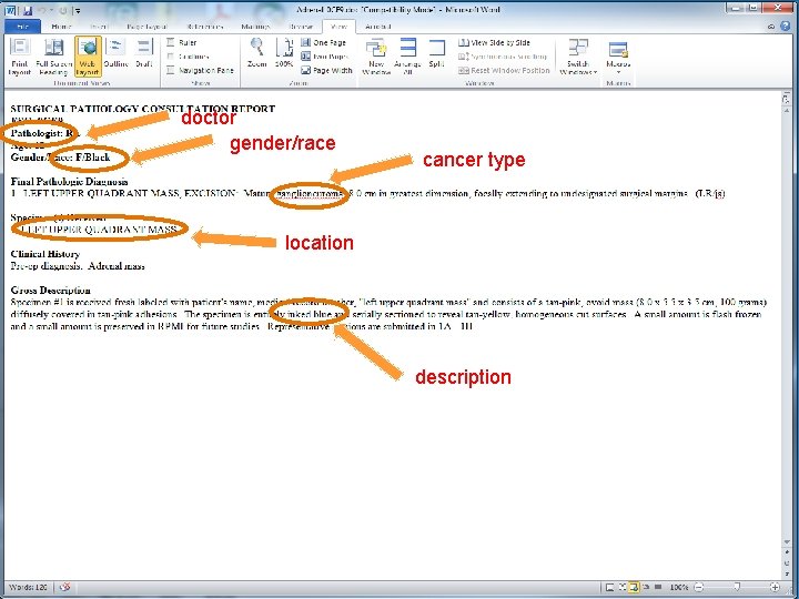 doctor gender/race cancer type location description 
