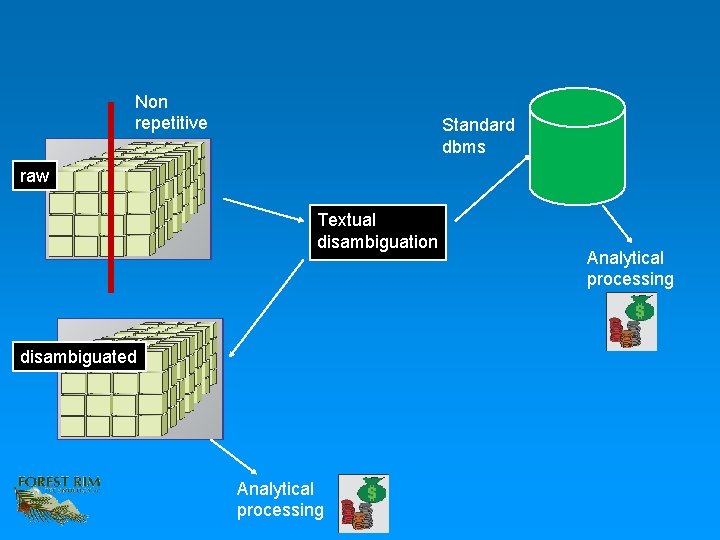 Non repetitive Standard dbms raw Textual disambiguation disambiguated Analytical processing 