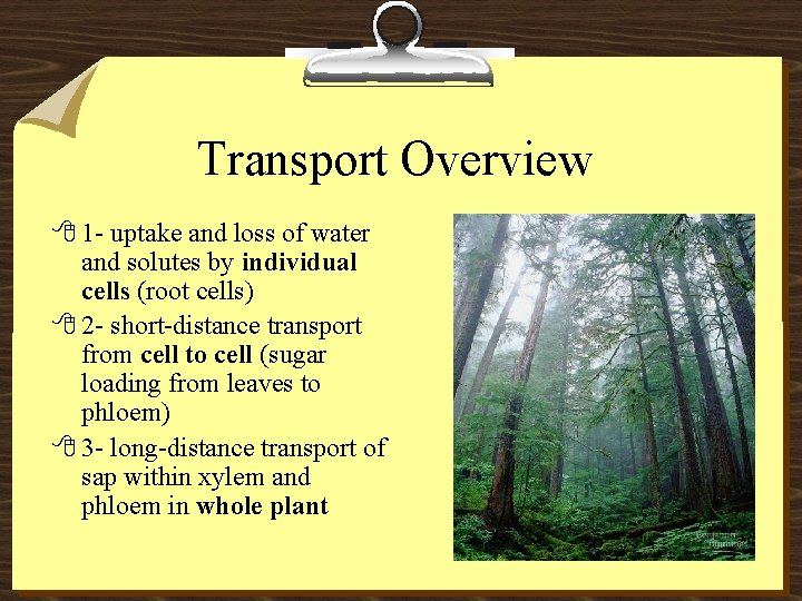 Transport Overview 8 1 - uptake and loss of water and solutes by individual