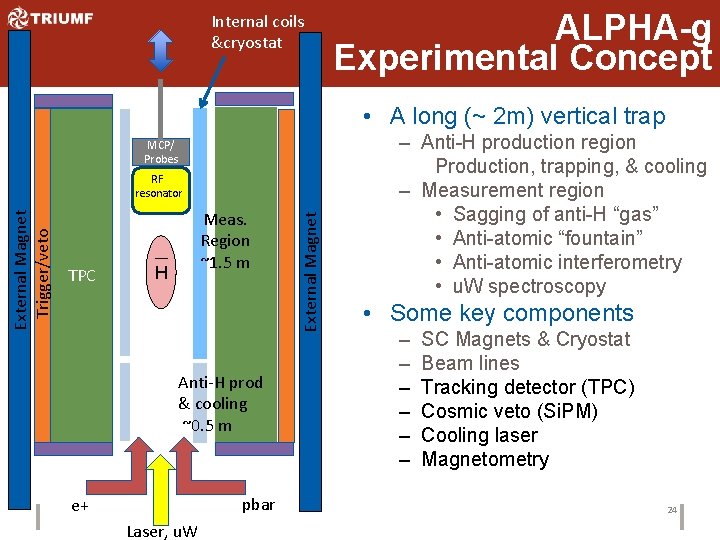 Internal coils &cryostat ALPHA-g Experimental Concept • A long (~ 2 m) vertical trap