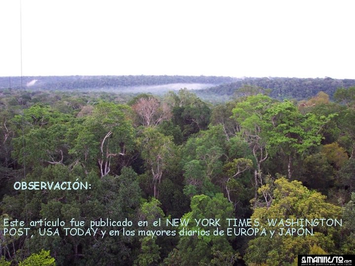 OBSERVACIÓN: Este artículo fue publicado en el NEW YORK TIMES, WASHINGTON POST, USA TODAY