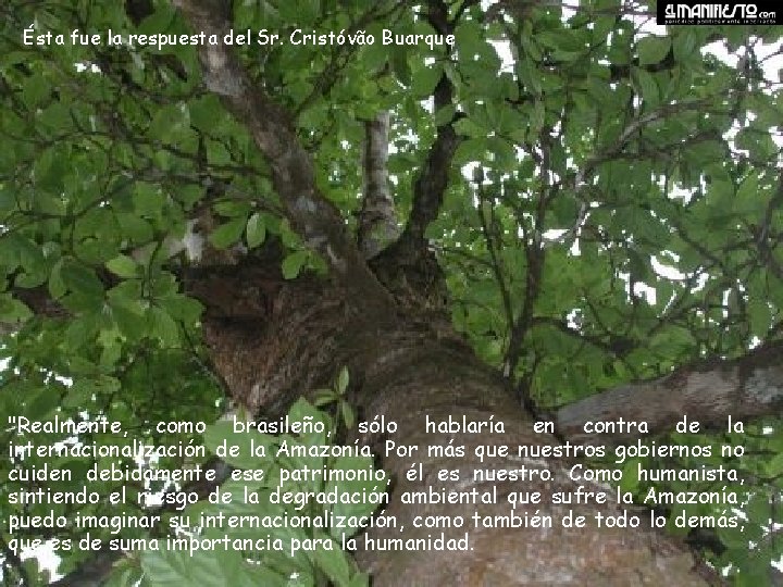 Ésta fue la respuesta del Sr. Cristóvão Buarque "Realmente, como brasileño, sólo hablaría en