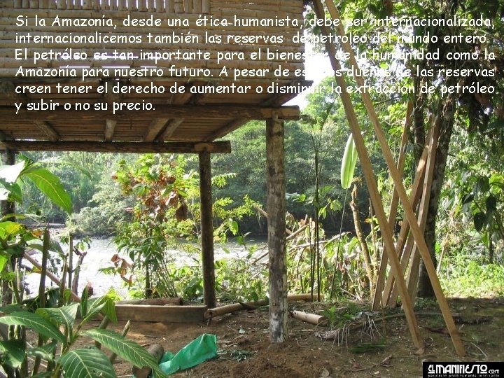 Si la Amazonía, desde una ética humanista, debe ser internacionalizada, internacionalicemos también las reservas