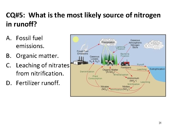 CQ#5: What is the most likely source of nitrogen in runoff? A. Fossil fuel