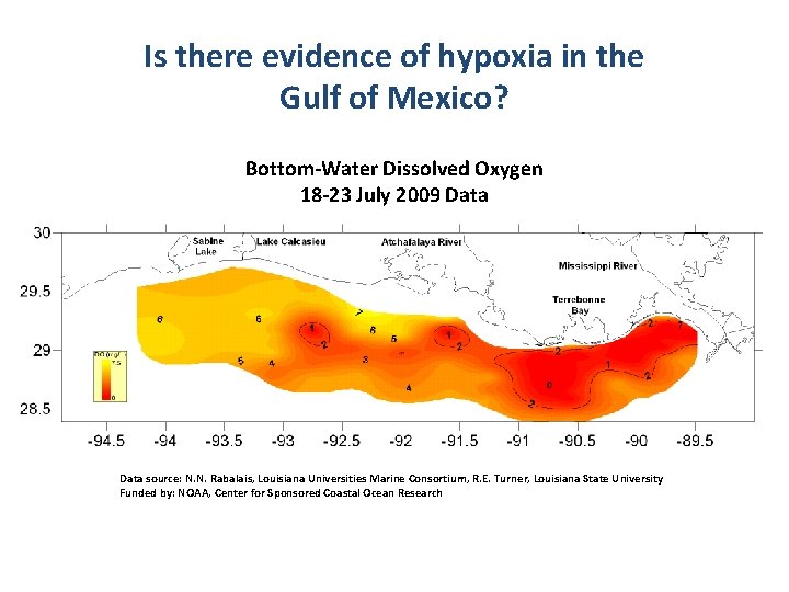 Is there evidence of hypoxia in the Gulf of Mexico? Bottom-Water Dissolved Oxygen 18