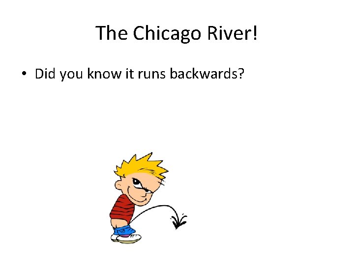 The Chicago River! • Did you know it runs backwards? 