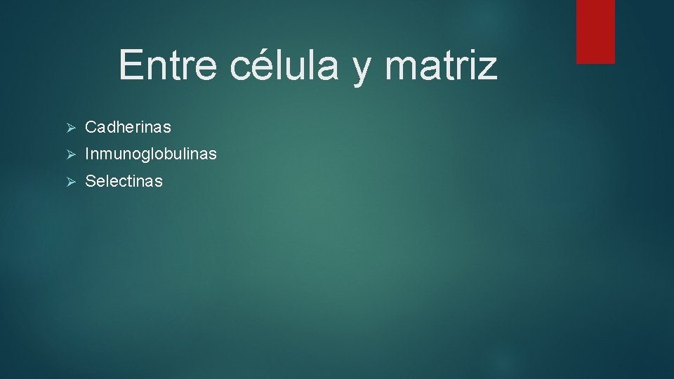 Entre célula y matriz Ø Cadherinas Ø Inmunoglobulinas Ø Selectinas 