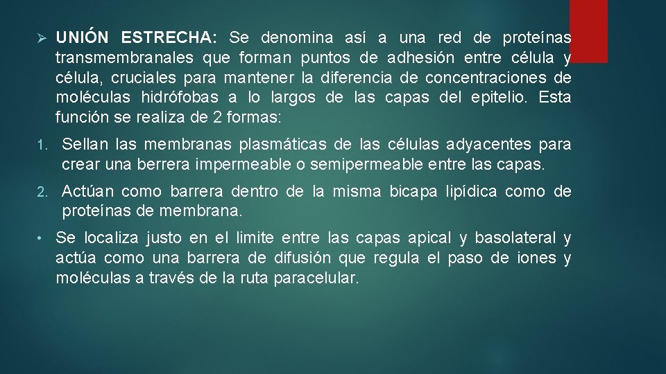 Ø UNIÓN ESTRECHA: Se denomina así a una red de proteínas transmembranales que forman