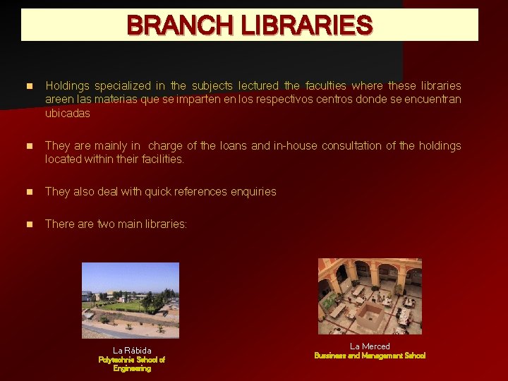 BRANCH LIBRARIES n Holdings specialized in the subjects lectured the faculties where these libraries