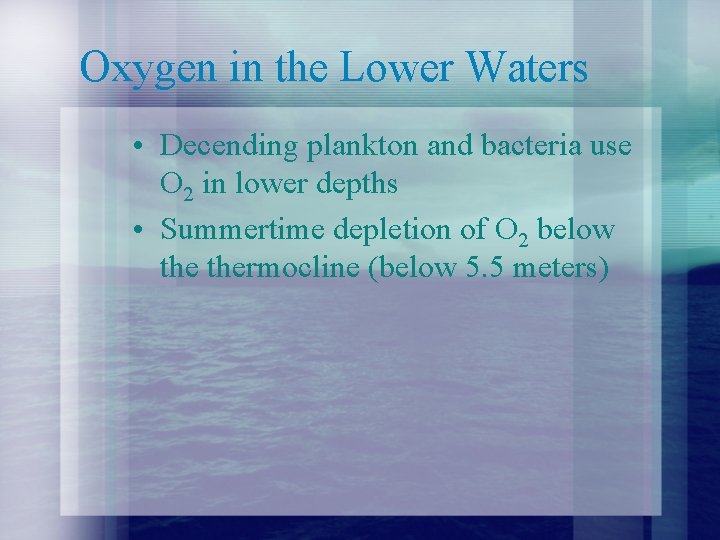Oxygen in the Lower Waters • Decending plankton and bacteria use O 2 in