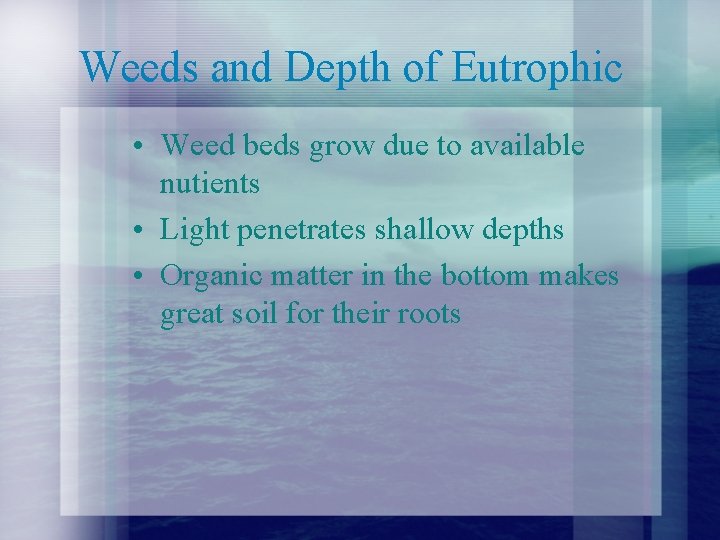Weeds and Depth of Eutrophic • Weed beds grow due to available nutients •