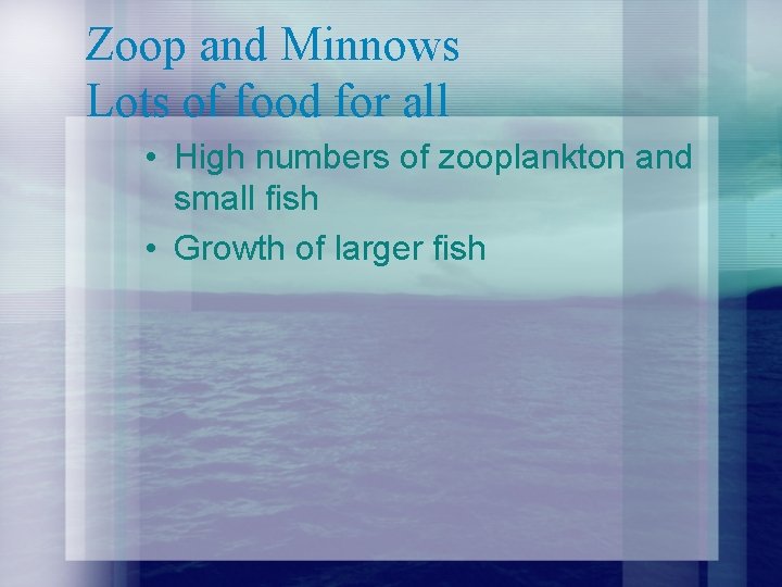Zoop and Minnows Lots of food for all • High numbers of zooplankton and