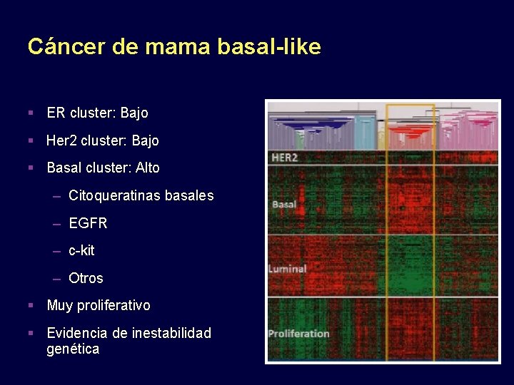 Cáncer de mama basal-like ER cluster: Bajo Her 2 cluster: Bajo Basal cluster: Alto