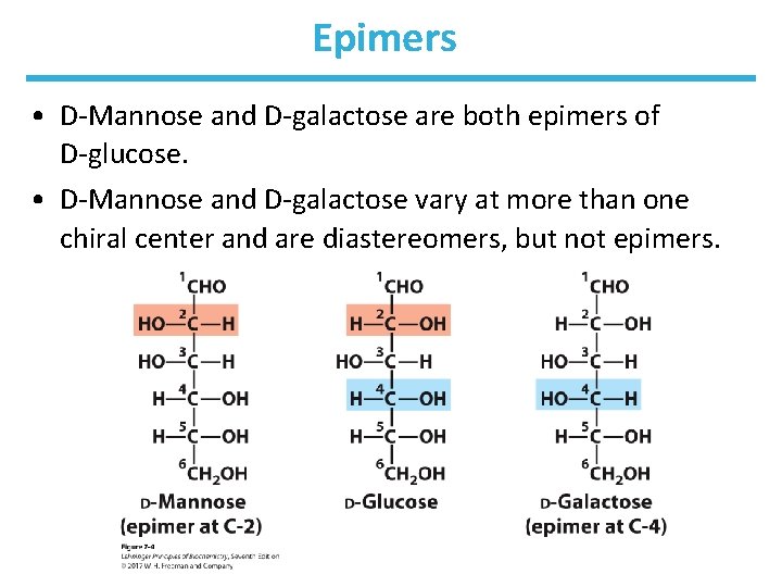 Epimers • D-Mannose and D-galactose are both epimers of D-glucose. • D-Mannose and D-galactose