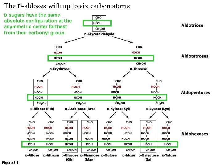 The D-aldoses with up to six carbon atoms D sugars have the same absolute