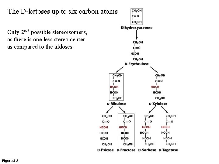 The D-ketoses up to six carbon atoms Only 2 n-3 possible stereoisomers, as there