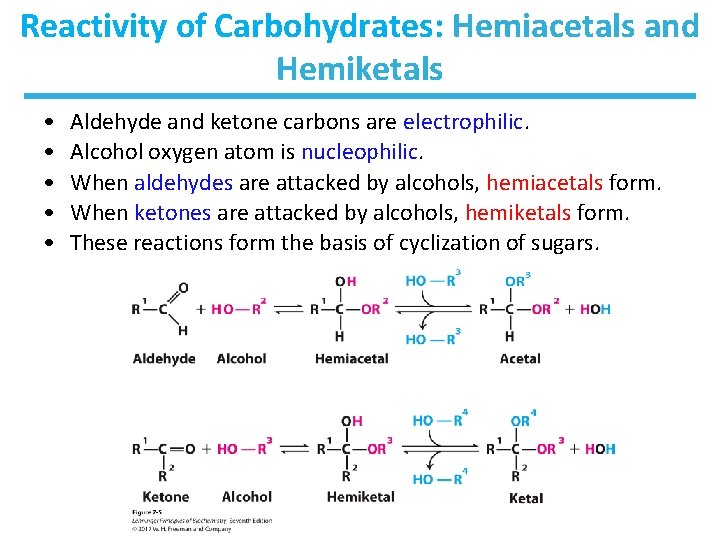 Reactivity of Carbohydrates: Hemiacetals and Hemiketals • • • Aldehyde and ketone carbons are