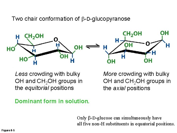 Two chair conformation of b-D-glucopyranose Less crowding with bulky OH and CH 2 OH