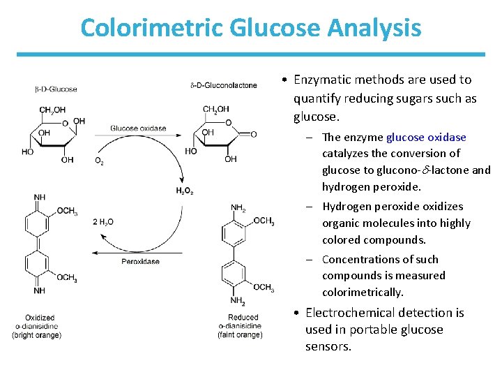 Colorimetric Glucose Analysis • Enzymatic methods are used to quantify reducing sugars such as