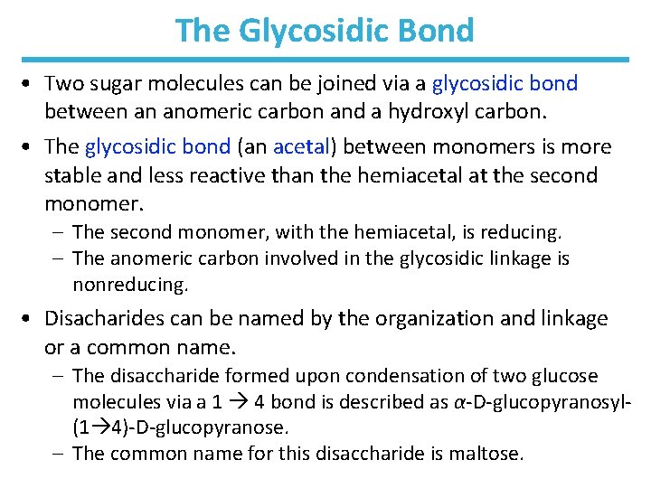 The Glycosidic Bond • Two sugar molecules can be joined via a glycosidic bond