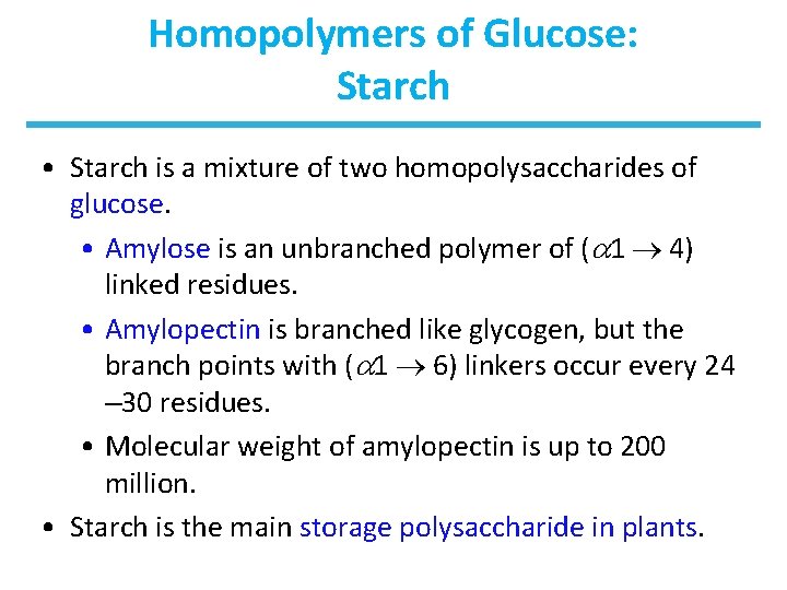Homopolymers of Glucose: Starch • Starch is a mixture of two homopolysaccharides of glucose.