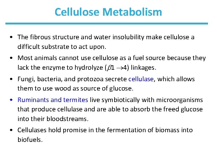 Cellulose Metabolism • The fibrous structure and water insolubility make cellulose a difficult substrate