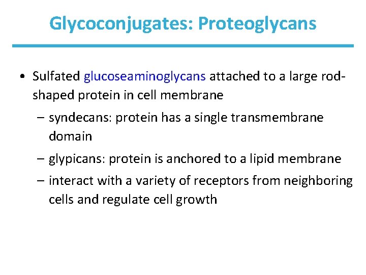 Glycoconjugates: Proteoglycans • Sulfated glucoseaminoglycans attached to a large rodshaped protein in cell membrane