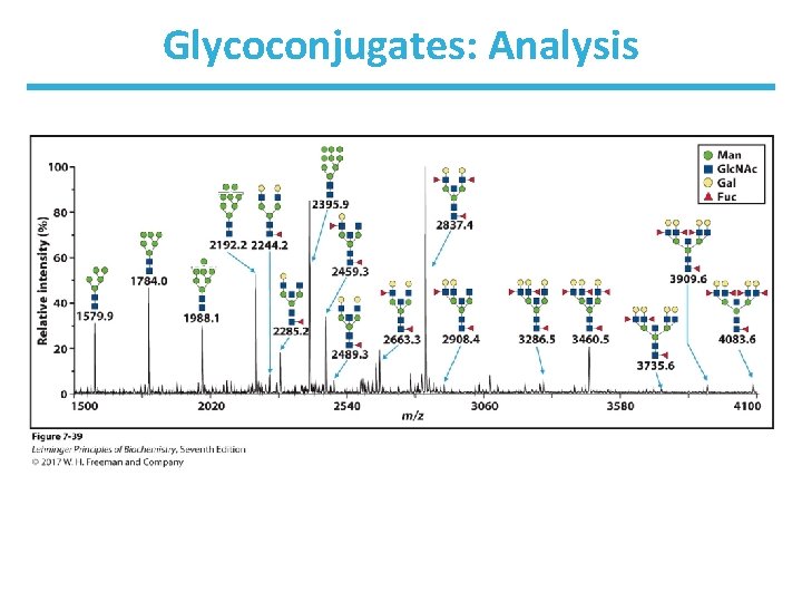 Glycoconjugates: Analysis 