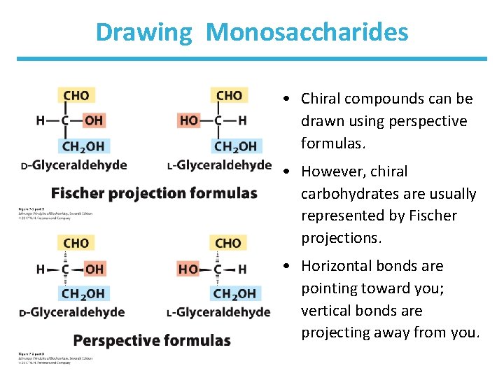 Drawing Monosaccharides • Chiral compounds can be drawn using perspective formulas. • However, chiral