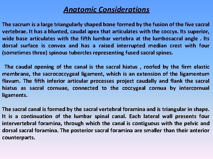 Anatomic Considerations The sacrum is a large triangularly shaped bone formed by the fusion