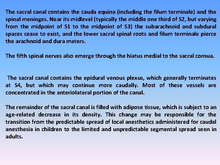 The sacral canal contains the cauda equina (including the filum terminale) and the spinal