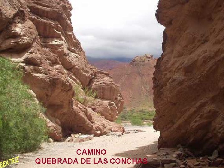 CAMINO QUEBRADA DE LAS CONCHAS 