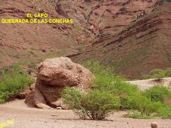 EL SAPO QUEBRADA DE LAS CONCHAS 