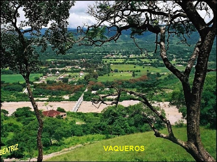 VAQUEROS 