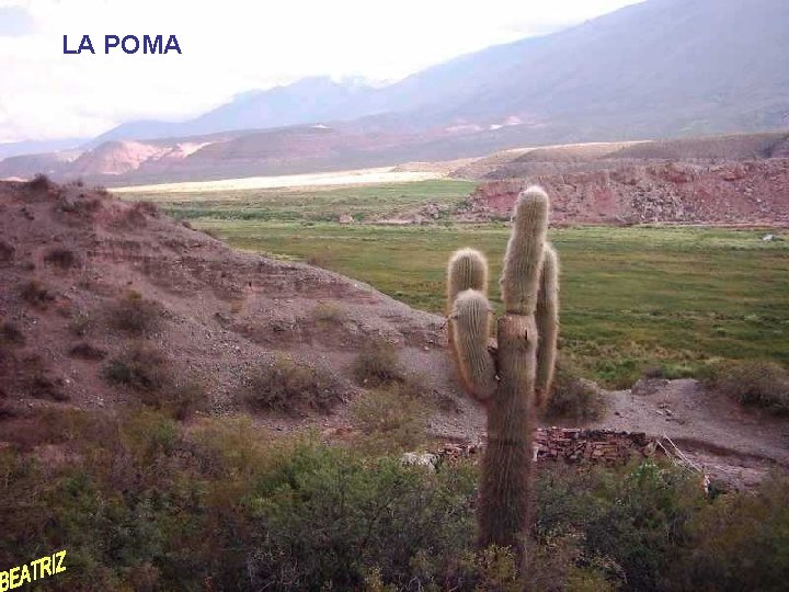 LA POMA 