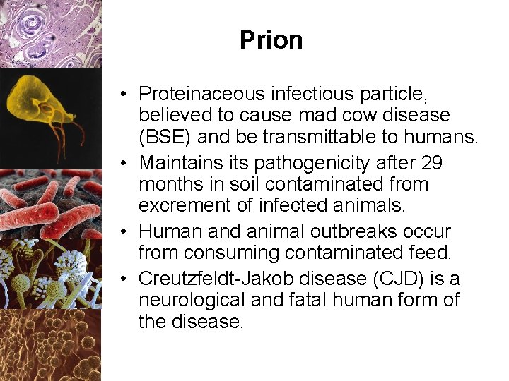 Prion • Proteinaceous infectious particle, believed to cause mad cow disease (BSE) and be