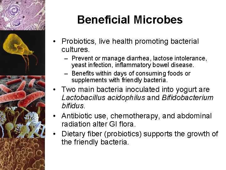 Beneficial Microbes • Probiotics, live health promoting bacterial cultures. – Prevent or manage diarrhea,