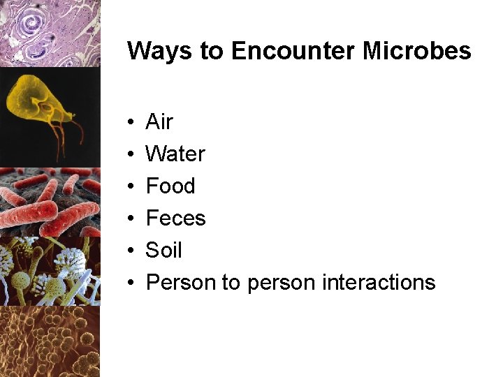 Ways to Encounter Microbes • • • Air Water Food Feces Soil Person to