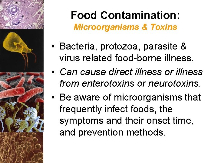 Food Contamination: Microorganisms & Toxins • Bacteria, protozoa, parasite & virus related food-borne illness.